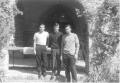 1966